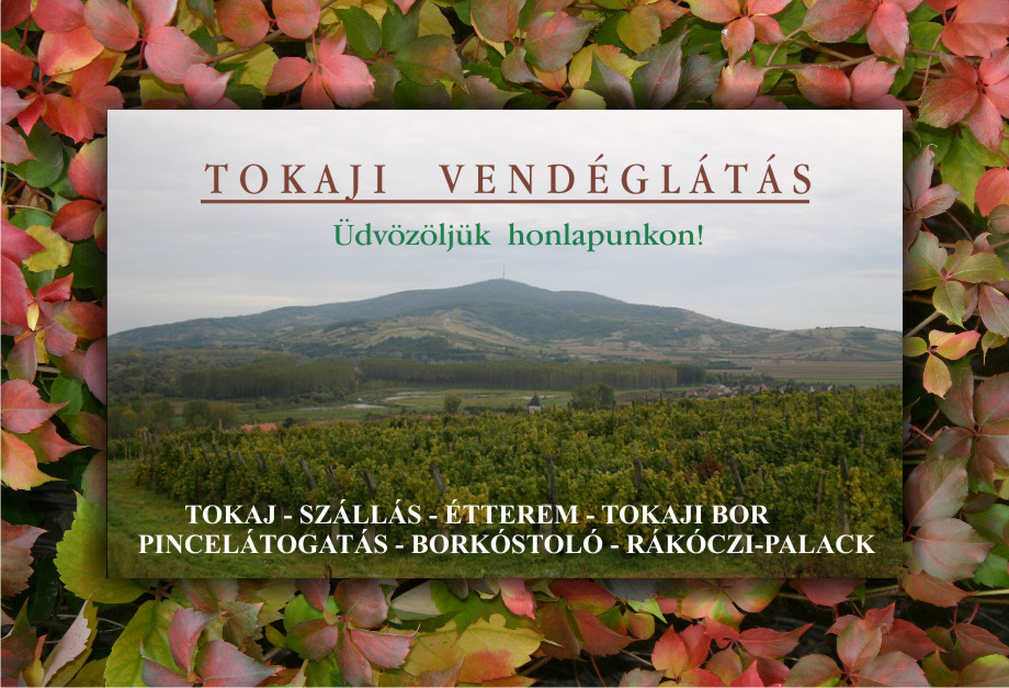 Tokaji vendglts